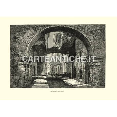 Veduta Roma: Pescheria vecchia