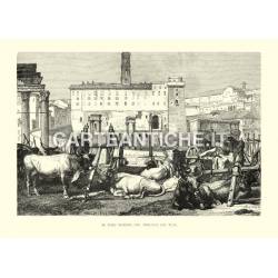 Il foro romano col mercato dei buoi.