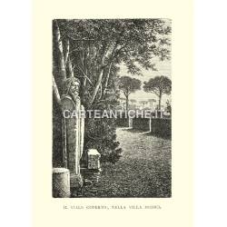 Il viale coperto nella Villa Medici.