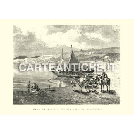 Barche che trasportano frutta sul Lago di Neuchatel