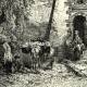 Feltre - Porta Rusteri. Zoom 3/3