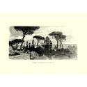 Villa Falconieri a Frascati