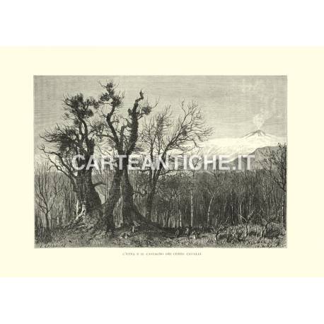 L'Etna e il Castagno dei cento cavalli.