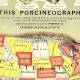 USA Porcineograph Satirical (1876) - Zoom 1/3