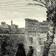 Colosseo (veduto dal Palatino). Zoom 2/3