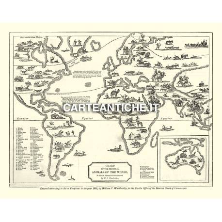 Carta antica: Animali nel Mondo 04 - Woodbridge 1831